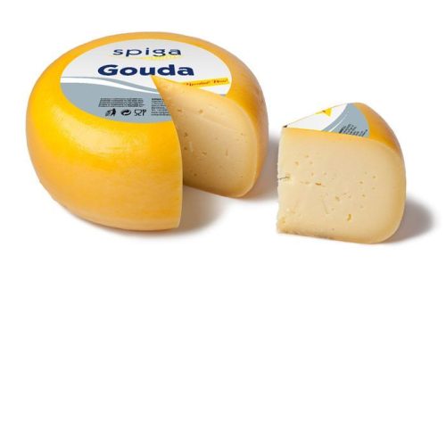 gouda tierno